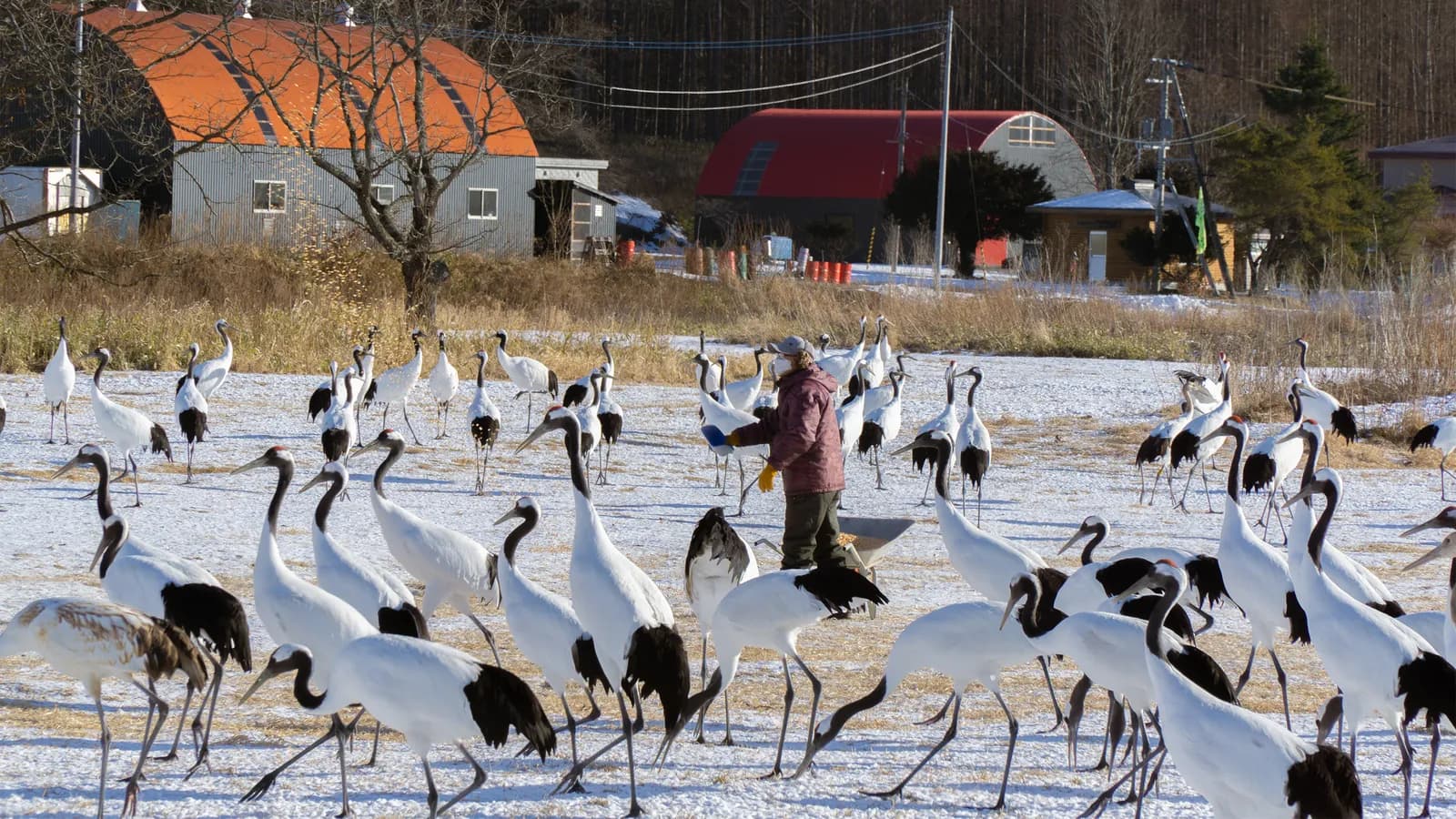 Các trạm dừng chân không nên bỏ lỡ khi đến xứ tuyết Hokkaido