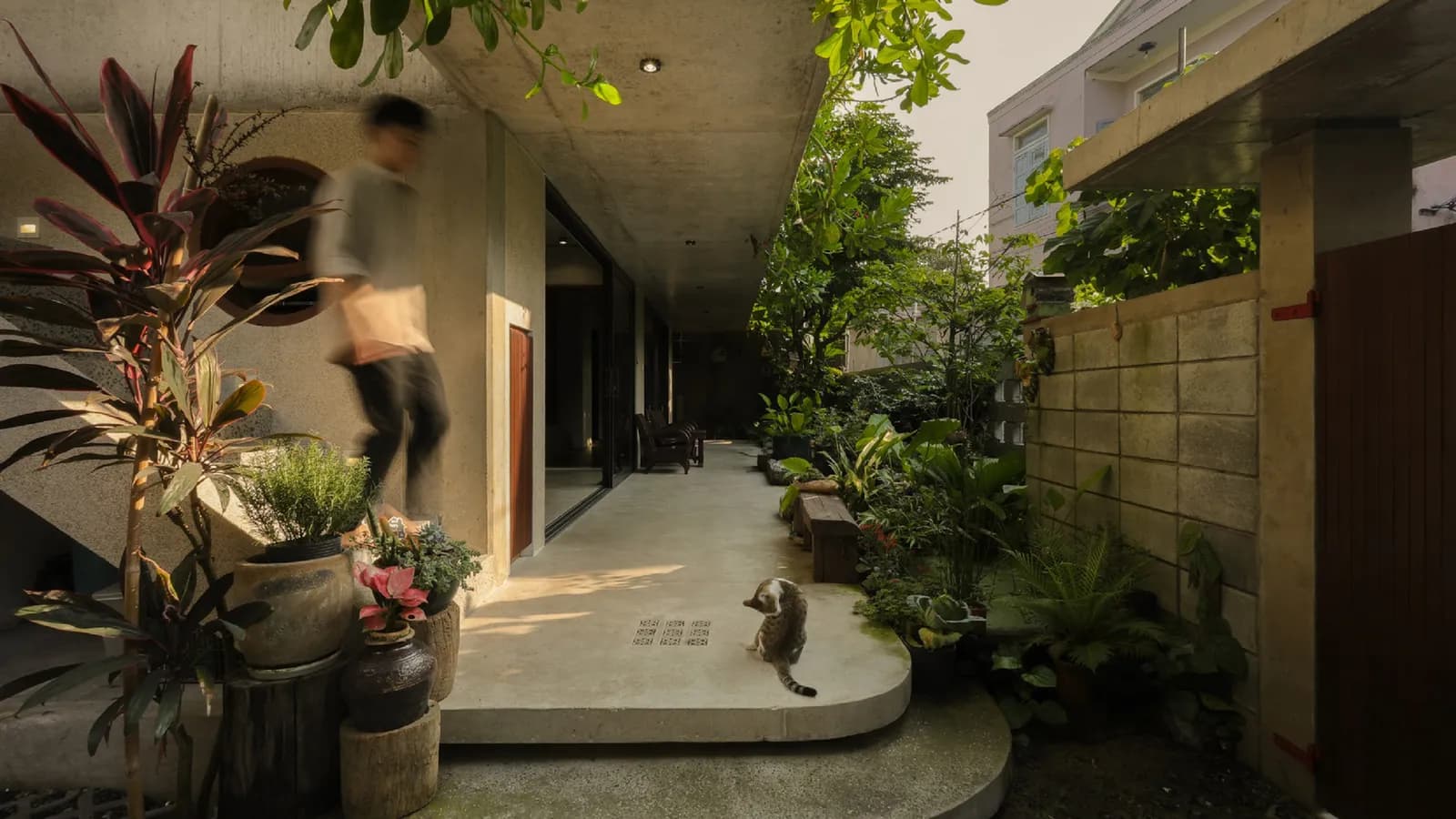Chong Chóng Architecture: Hiện thực hóa giấc mơ kiến trúc từ cảm hứng tự nhiên