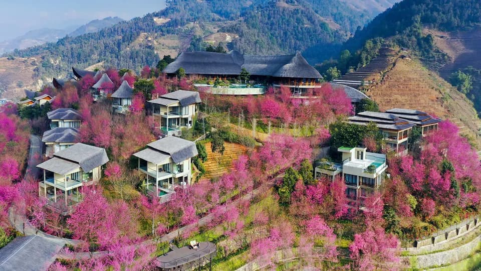 Garrya Mù Cang Chải: Trải nghiệm du xuân độc đáo nơi đại ngàn Tây Bắc