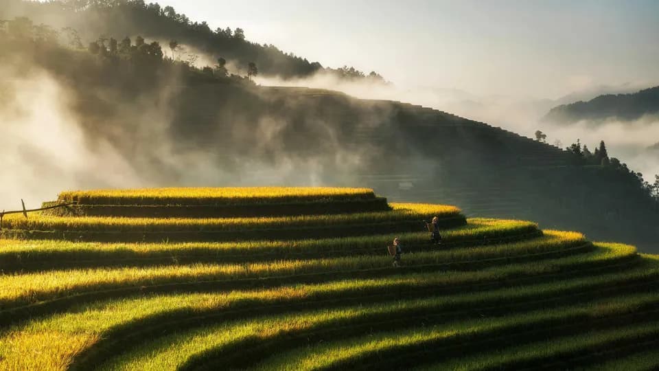 Hành trình 3 ngày 2 đêm về với đại ngàn Yên Bái