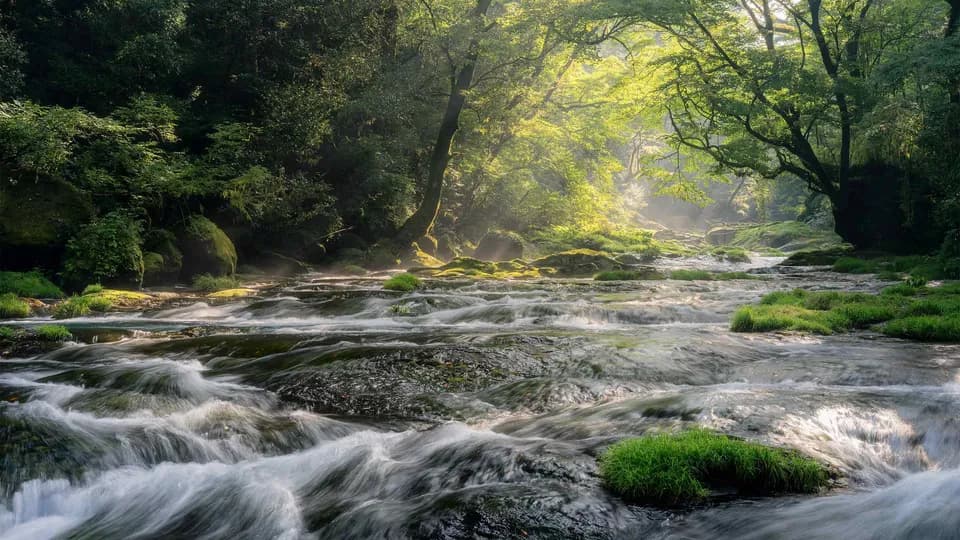 Dọc miền Kyushu!