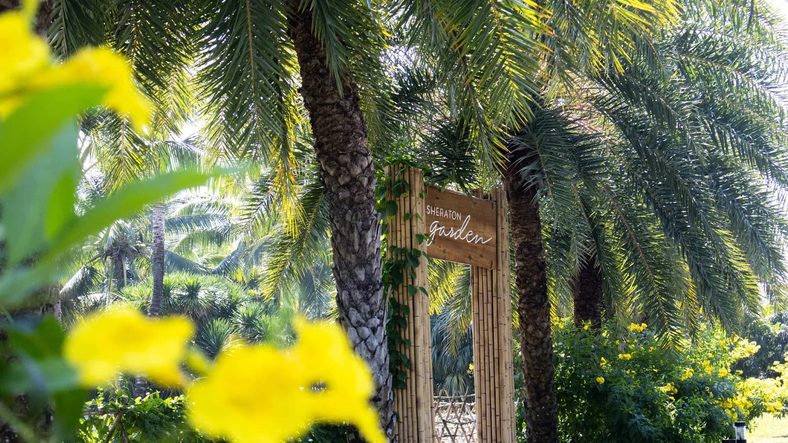 Growing Green: Sheraton Phu Quoc Long Beach Resort Unveils Sheraton Garden