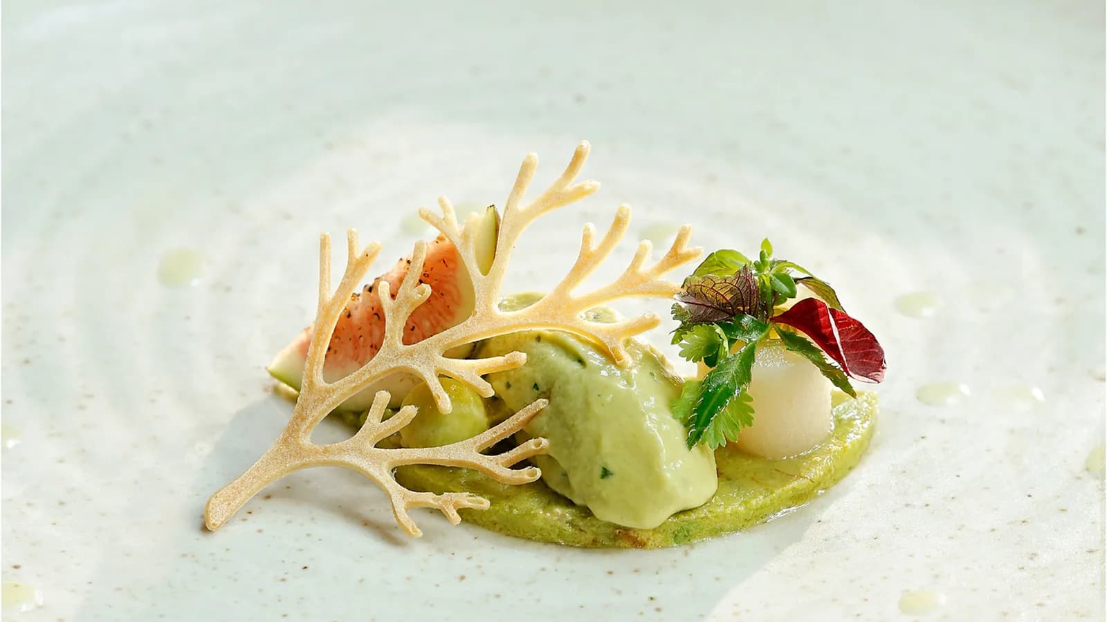Ăn chay: từ hành trình tìm kiếm thanh tịnh đến bữa tiệc fine dining của mỹ vị thực vật