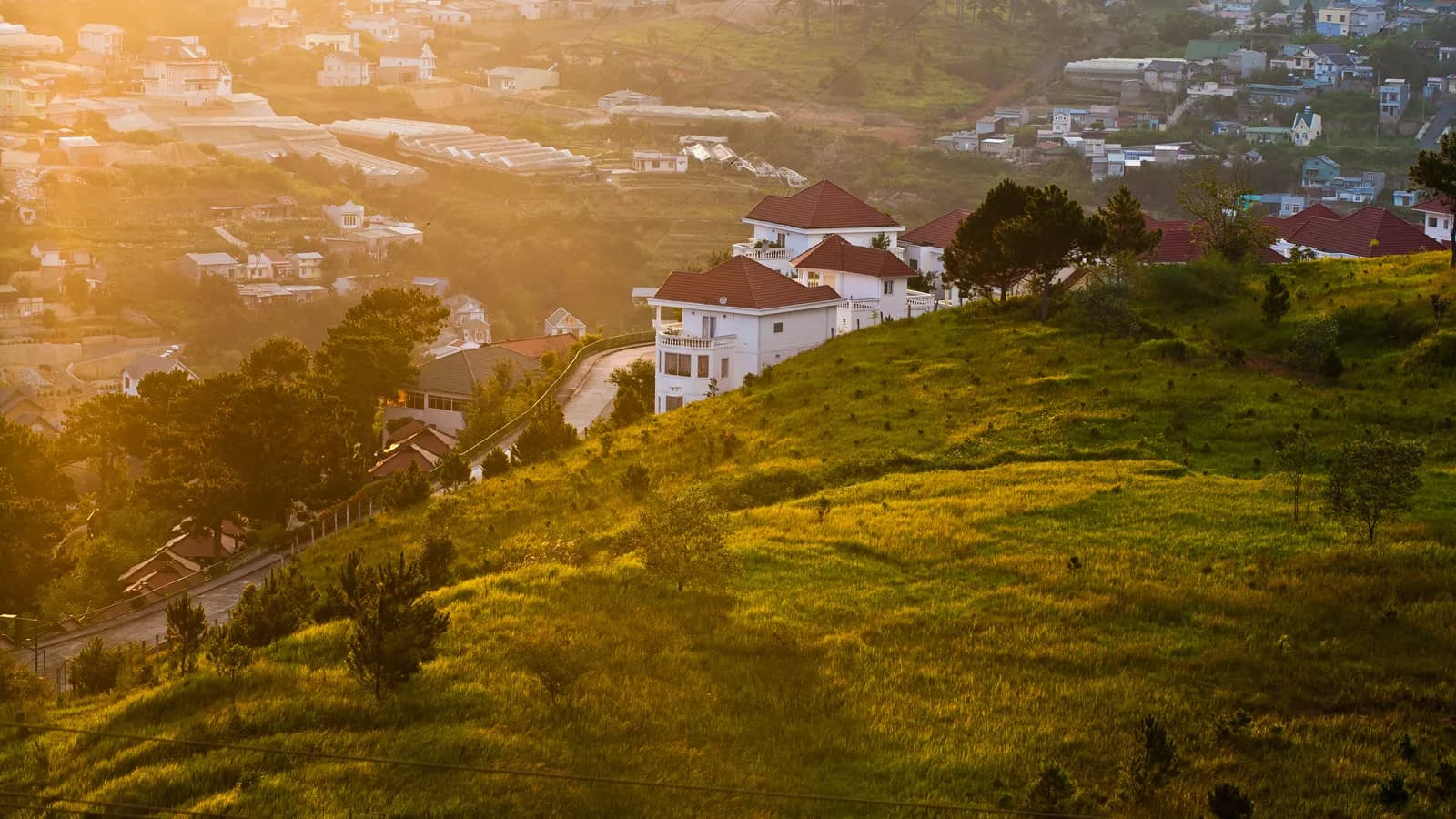 Nồng nàn Đà Lạt