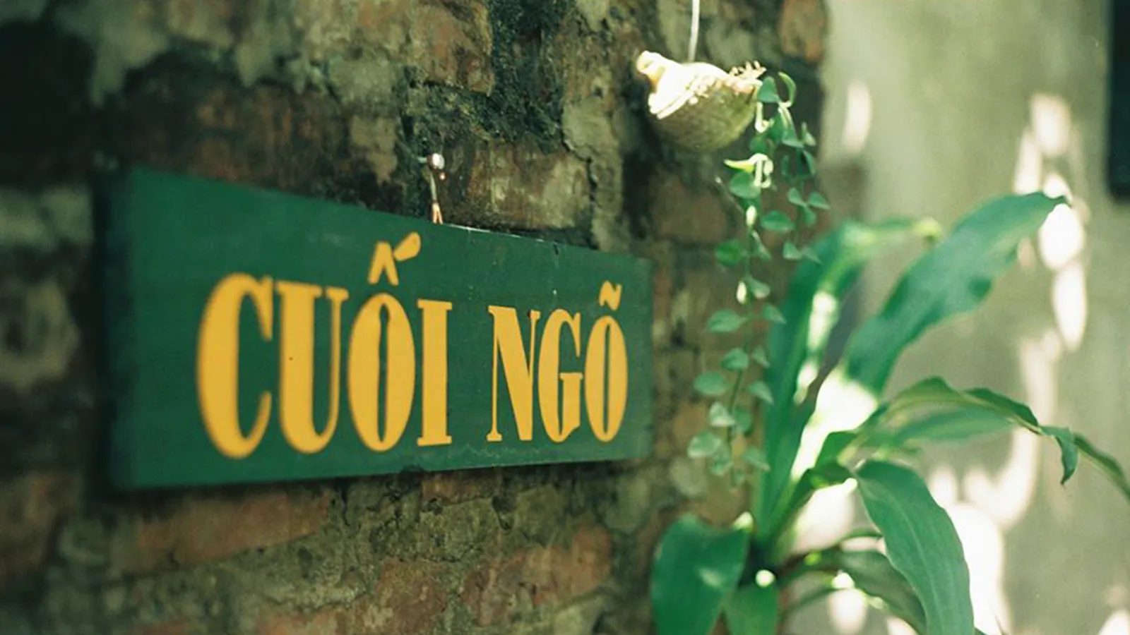 Thứ 6 đi cafe nghe nhạc Trịnh