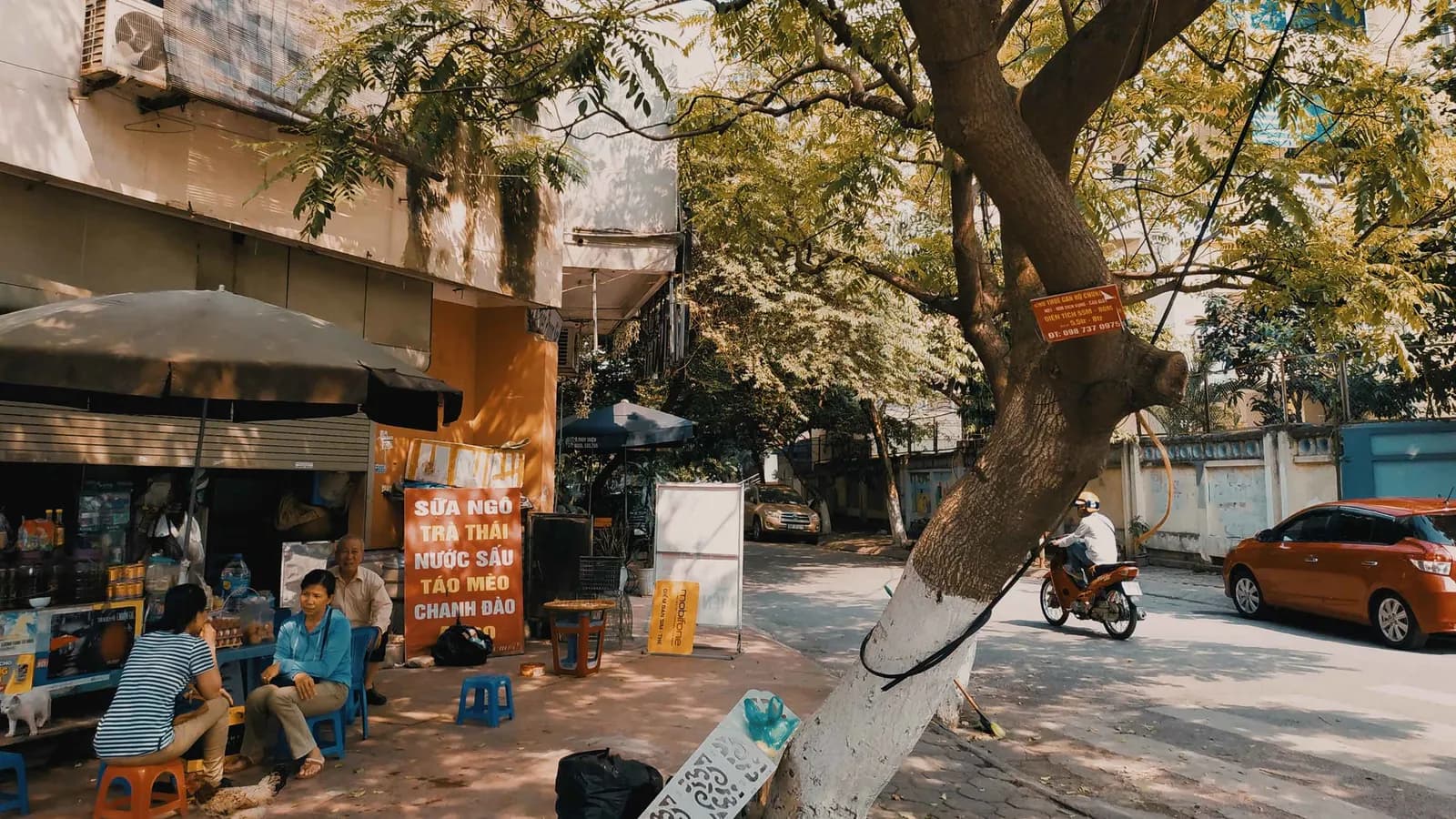Trà đá Hà Nội