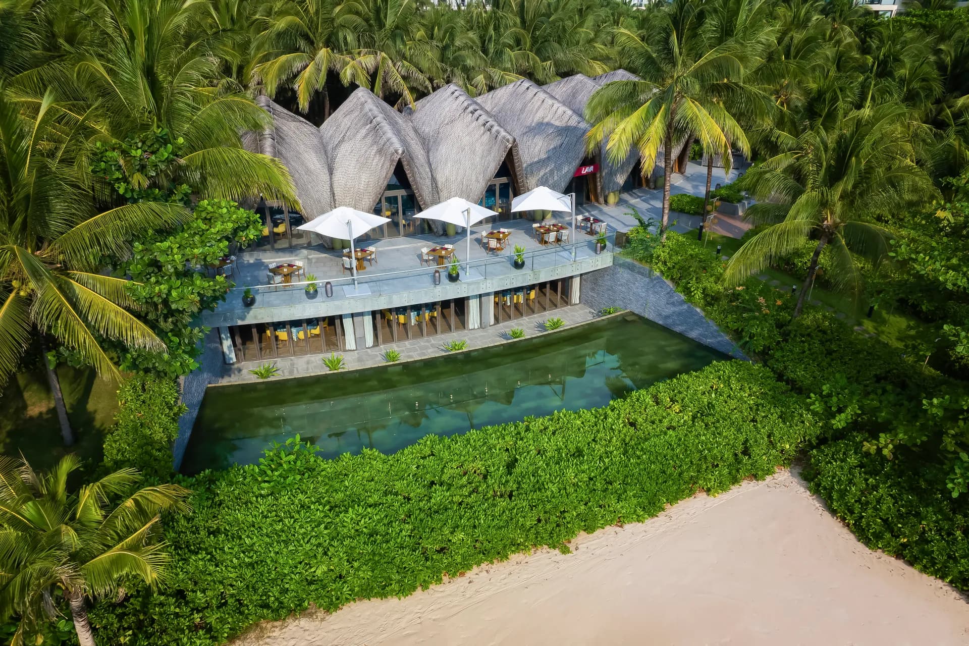 LAVA: Từ quà tặng biển khơi đến vũ điệu của lửa