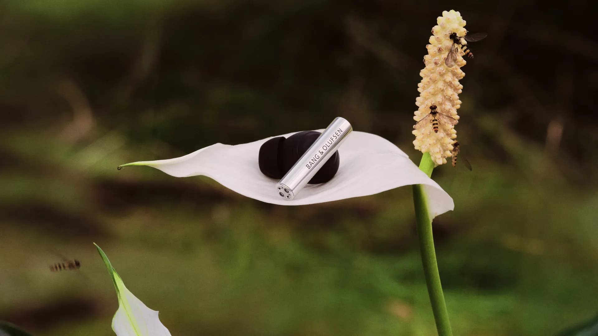 Tai nghe In-Ear Beo Grace: Tinh hoa thiết kế của một thế kỷ