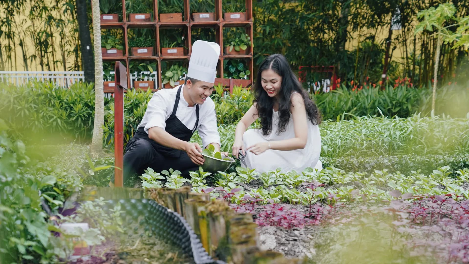Vườn hữu cơ và những hạt mầm